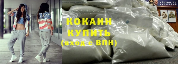 PSILOCYBIN Горняк