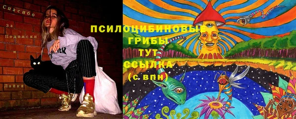 MDMA Вяземский