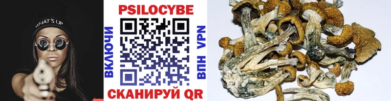 Галлюциногенные грибы мицелий  Купить  Сибай 